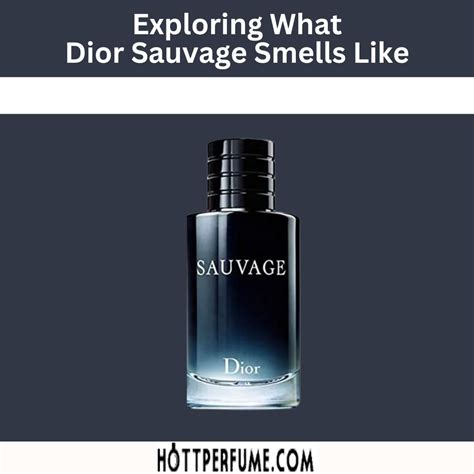 dior sauvage base notes|dior sauvage smells like.